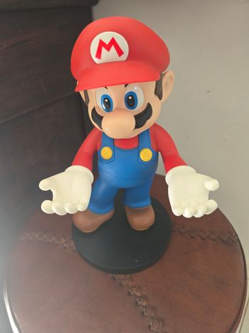 Support mario