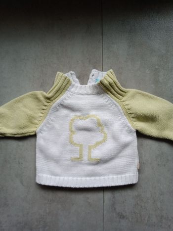 Pull 1 mois