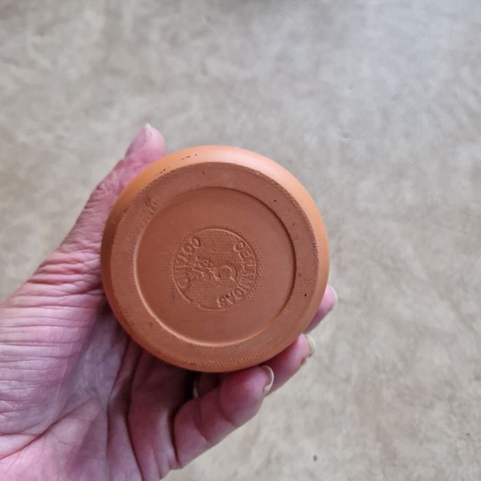 Verrine en terre yoplait - photo numéro 4