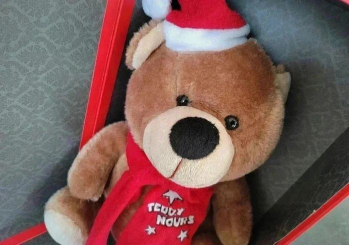 25 € Ours Teddy de Noël – Neuf en boîte cadeau - photo numéro 2