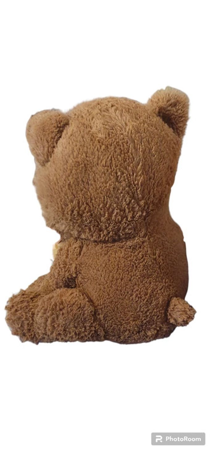 Ours brun - photo numéro 3
