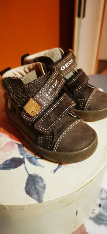 Bottine geox