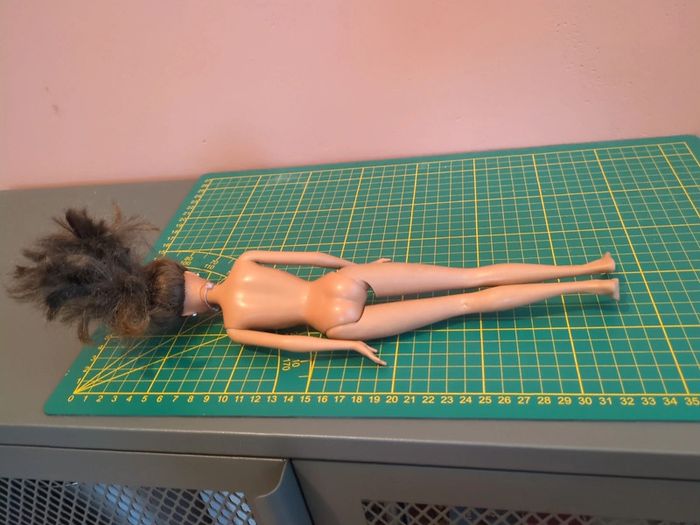 barbie kayla - photo numéro 3