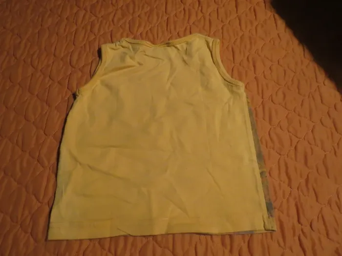 T-shirt taille 18 mois garçon - photo numéro 3