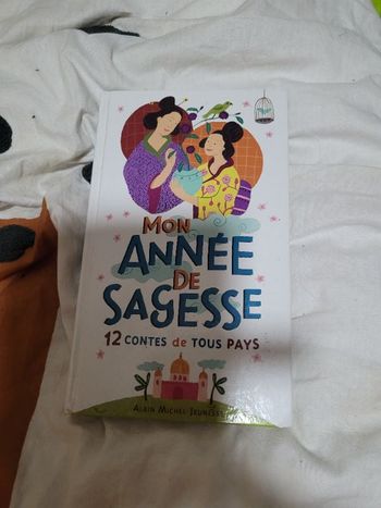 Mon année de sagesse 12 contes de tous pays