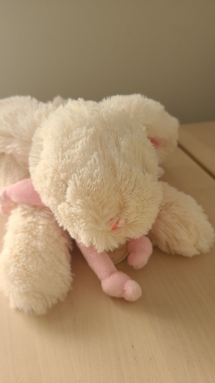 Doudou lapin - photo numéro 3
