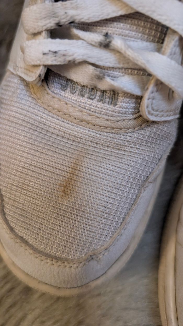 Air Jordan 1 Flight 5 PREM BG - photo numéro 4