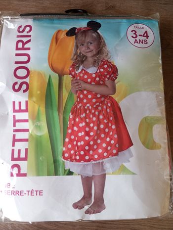 Costume petite souris
