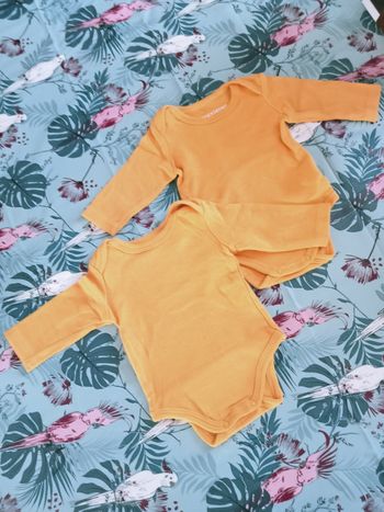 Lots 2bobys 1 mois inextenso