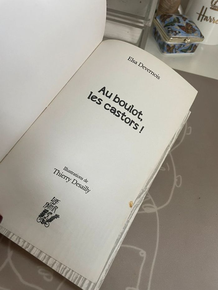 Roman enfant - au boulot les castors ! - photo numéro 3