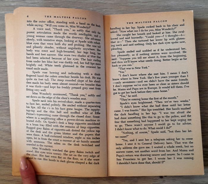 dashiell hammettt - the maltese falcon - photo numéro 6