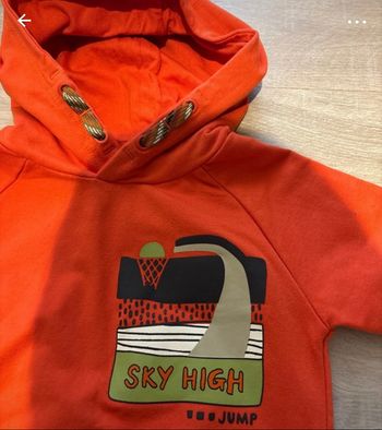 Pull à capuche sturdy taille 116