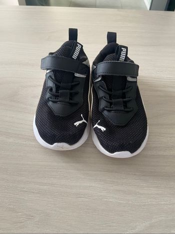 Basket puma