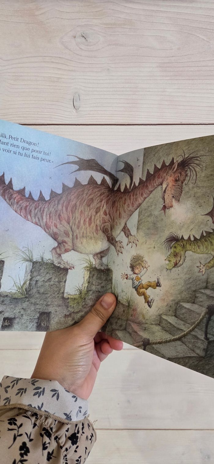 Petit Dragon - photo numéro 2