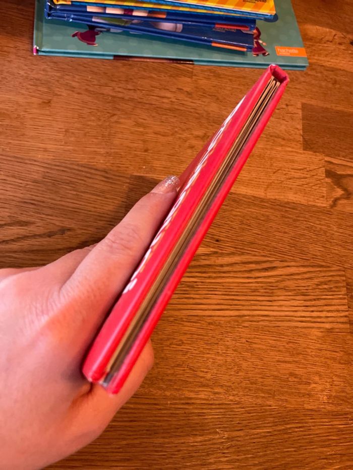 Livre Collection Pourquoi Gabin Le chien - photo numéro 5