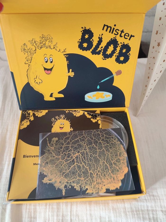 Coffret "La Blob Box" neuf - photo numéro 2
