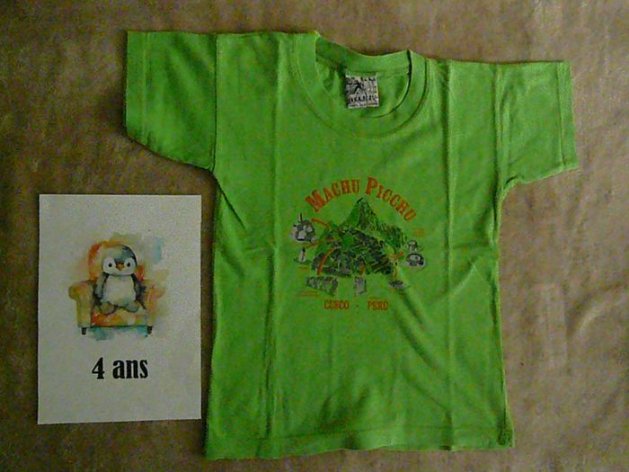 Lot de 3 tee-shirts 4 ans (n°27) - photo numéro 3