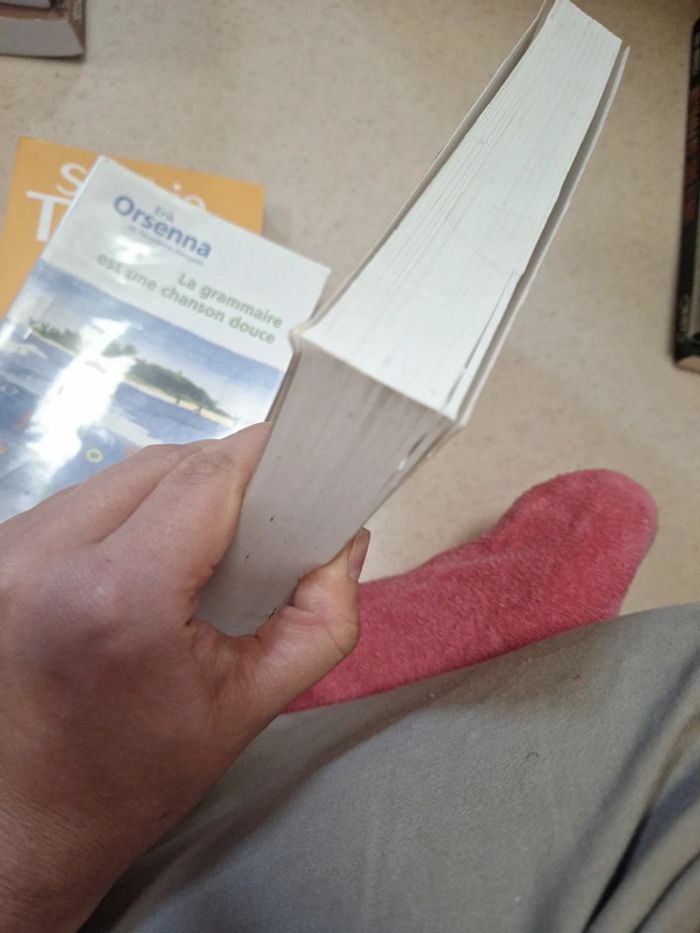 La voix du loup - photo numéro 4