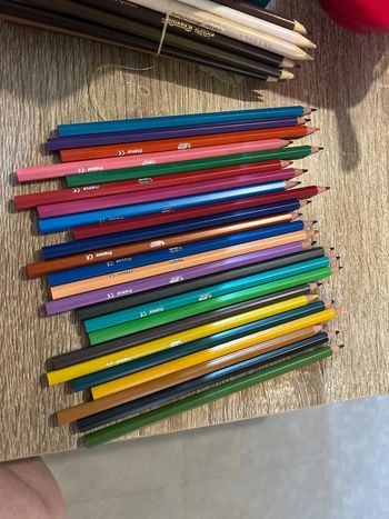 24 crayon de couleur bic