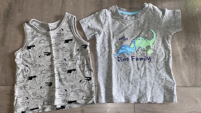 Lot t-shirt garçon dinosaures crocodile