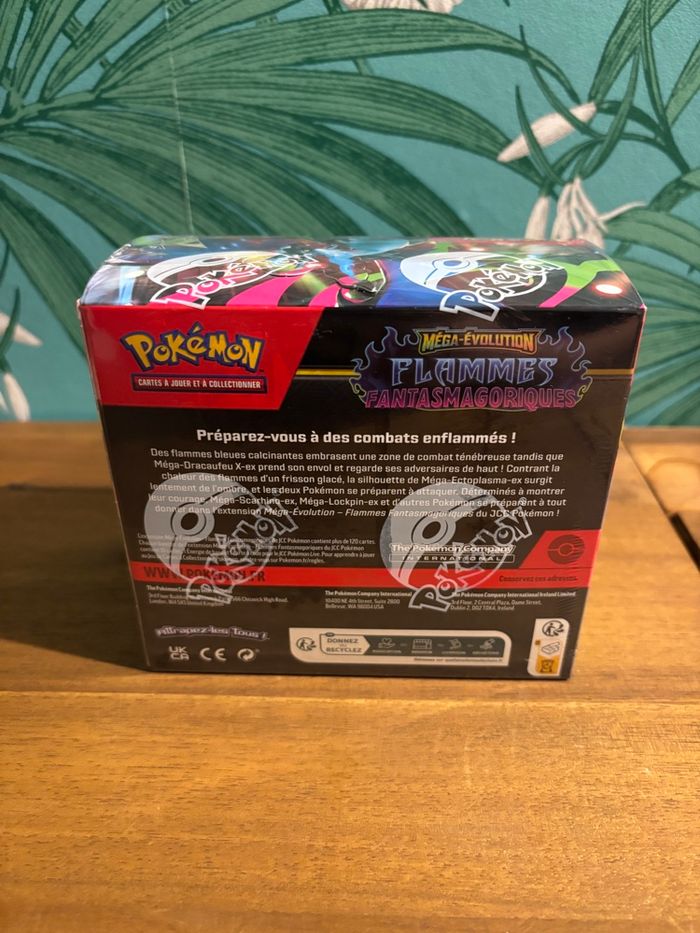 Display ME02 Flammes Fantasmagoriques + protection souple - photo numéro 3