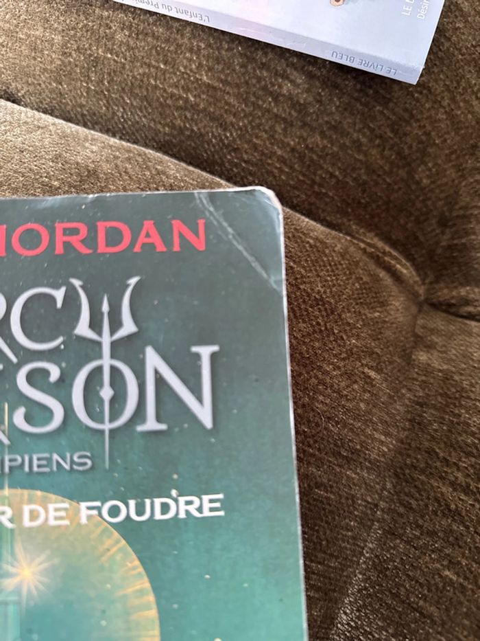 Percy jackson Tome 1 - photo numéro 2
