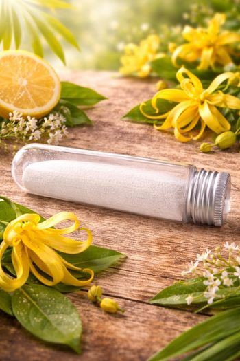Poudre aspirateur ylang ylang