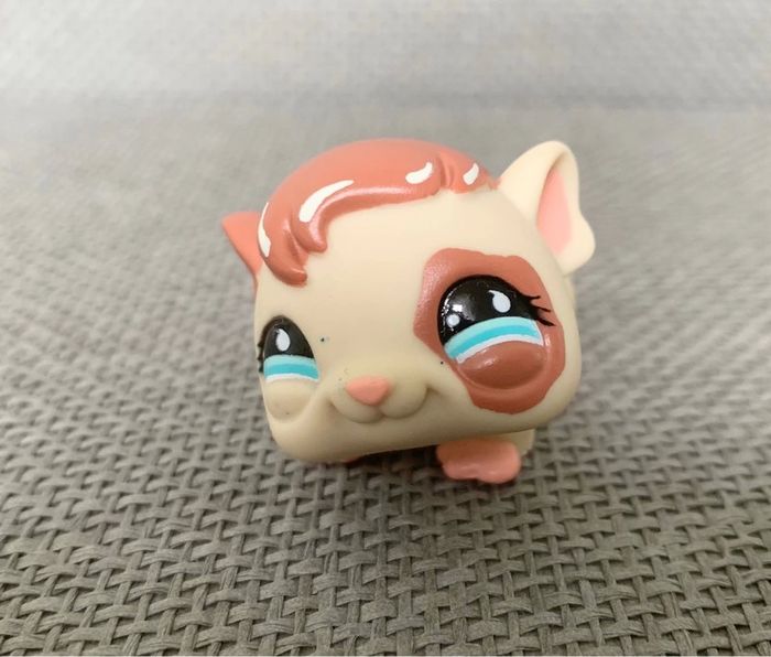 Petshop Cochon d’Inde - 2€ l’unité - photo numéro 4