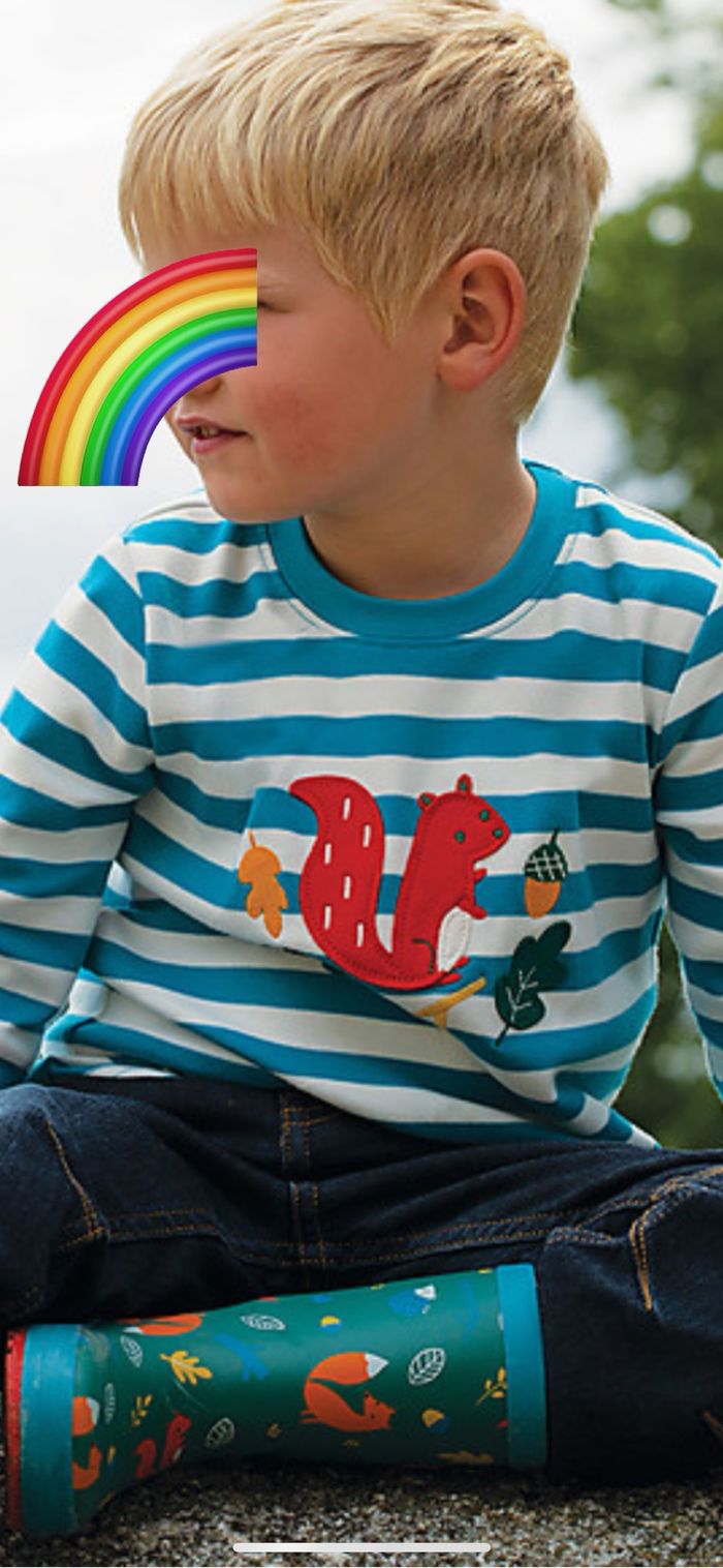 Tee-shirt de la marque Frugi modèle Frugi and National Trust Woodland Wanders Aspen Top coloris Réal Breton Squirel taille 6/7 ans Neuf - photo numéro 3