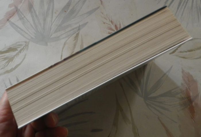 L'Eté du cyclone de Beatriz Williams Ed. France Loisirs - photo numéro 4