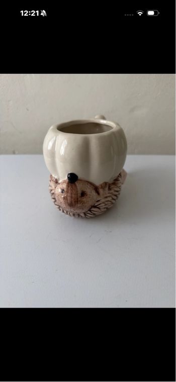 Mug Hérisson neuf contenance 450