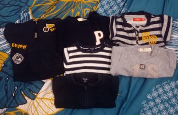 Lot de 6 pulls et vestes 3 mois
