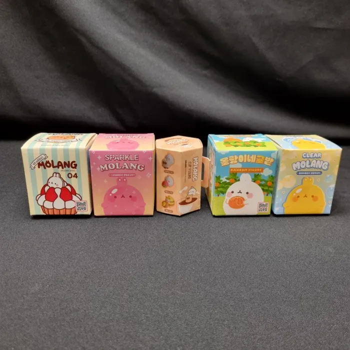 Lot de 5 Blind Box Molang