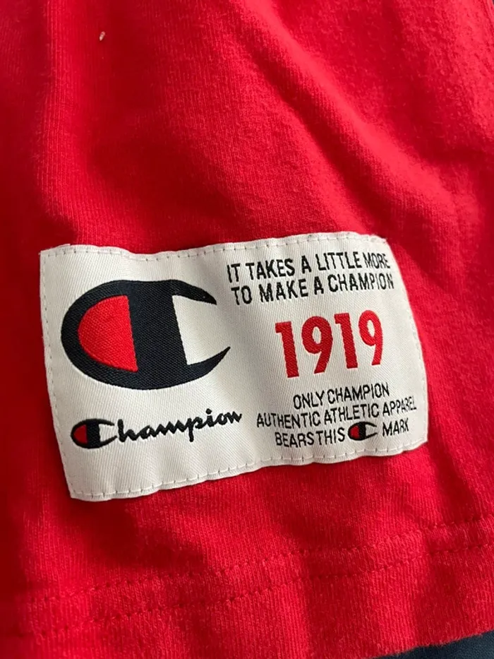 Pull champion - photo numéro 4