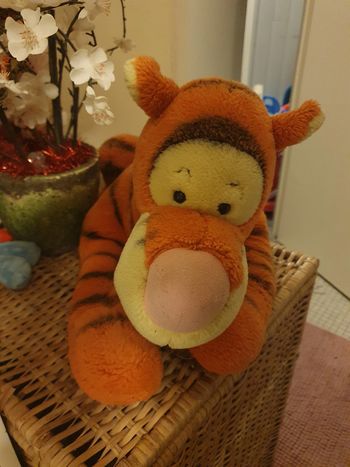 🌸Grande peluche tigrou