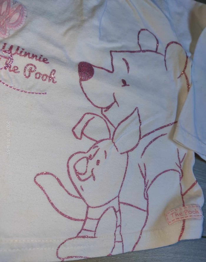 Tee-Shirt Disney Baby 74 cm - photo numéro 3