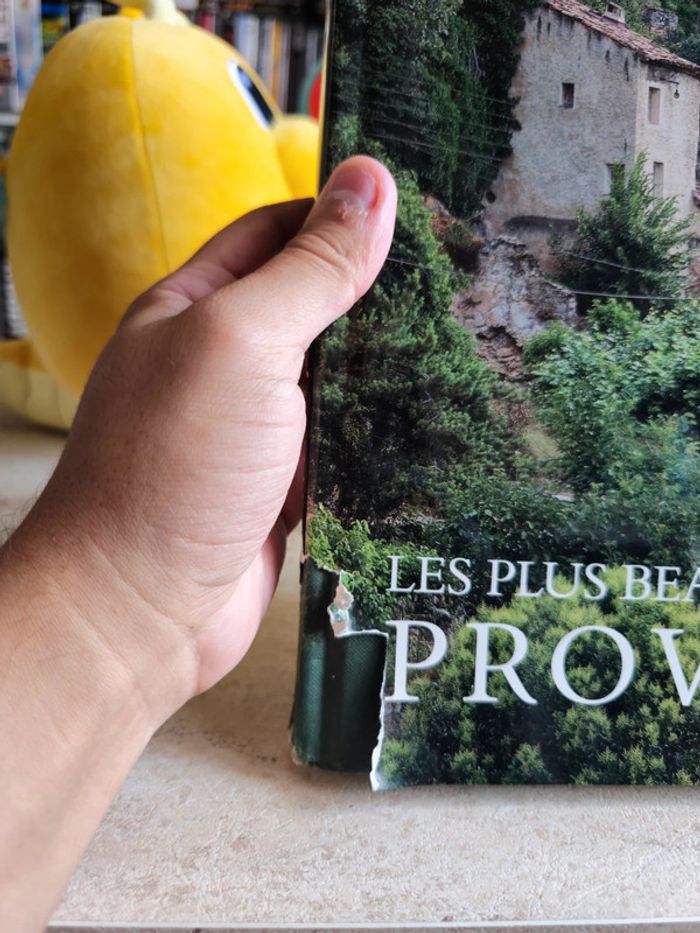 Livre Les Plus Beaux Villages de Provence - photo numéro 2