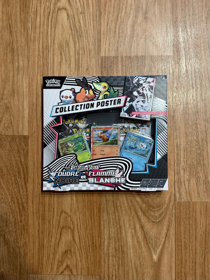 Coffret Poster EV10.5