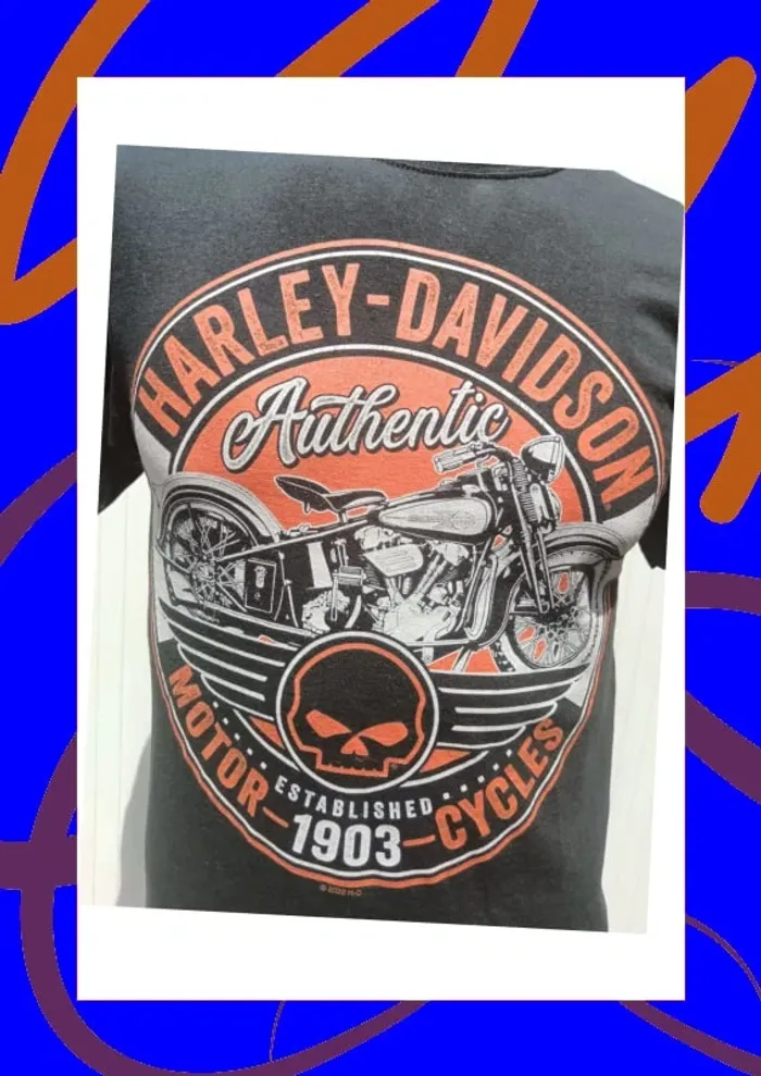 Tee shirt manches courtes S Harley Davidson - photo numéro 2