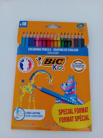 Pochette de crayons de couleur bic X18
