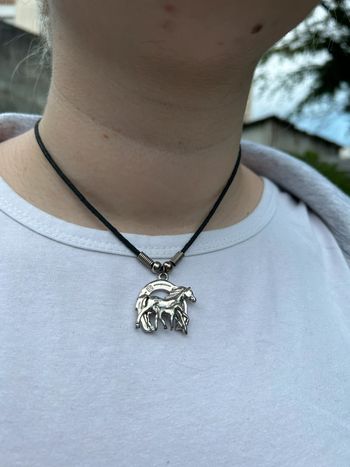 Collier cheval