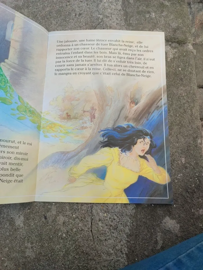 Livre Blanche-Neige et les trois petits cochons - photo numéro 4