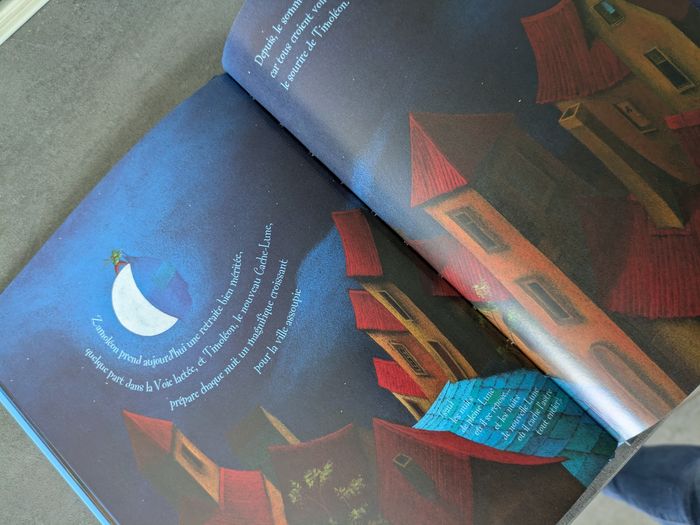 Livre cache lune livre McDo mercredi - photo numéro 2