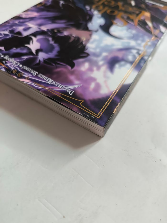 Solo leveling 17 - photo numéro 6