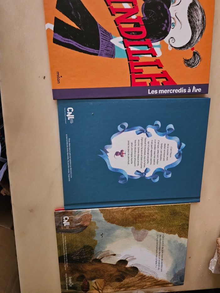Les mercredis à lire - photo numéro 8