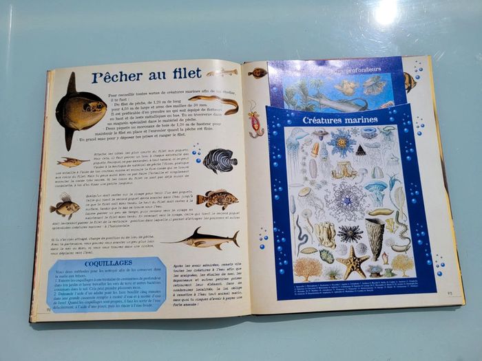 Livre d'activités Le Girls' Book, tout ce qu'elles adorent de 7 à 77 ans - photo numéro 15