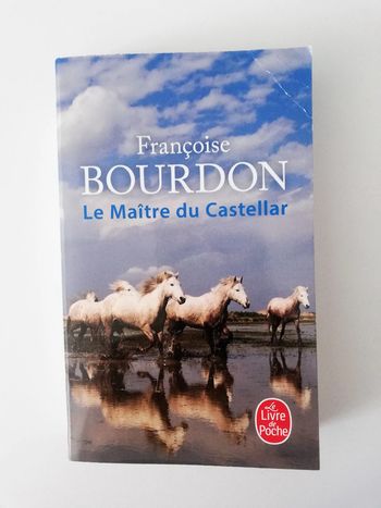Le Maître Du Castellar - Françoise Bourdon