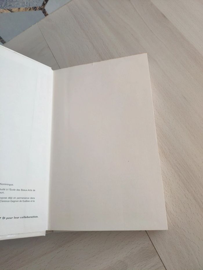 Livre grand format introduction économie entreprise Leroux - photo numéro 6