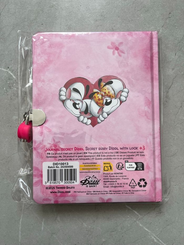 Carnet secret diddl - photo numéro 2