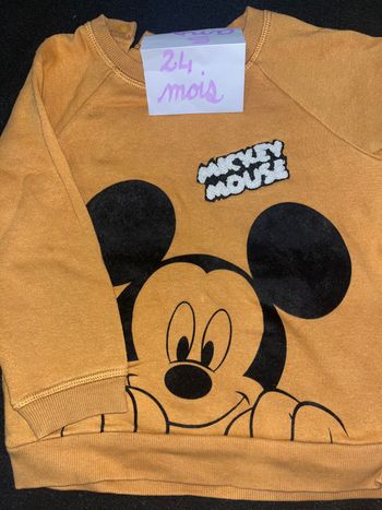 Pull 24 mois